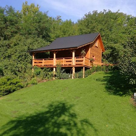 Villa Eden Ślesin Екстериор снимка