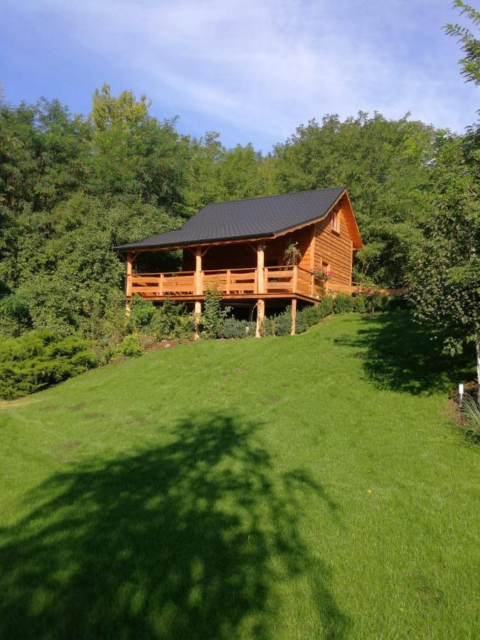 Villa Eden Ślesin Екстериор снимка